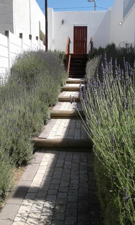 Lavandula Manor Self-Catering Mossel Bay Exteriér fotografie